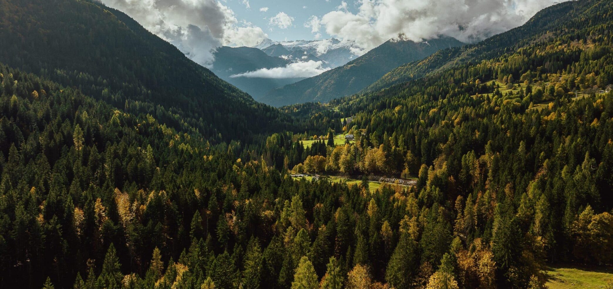 A mountain valley covered in tall pine trees with hilltops and blue sky with clouds