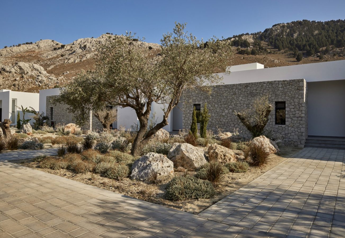 Stone-clad suites framed by native olive trees and rugged mountain views at Casa Cook Rhodes, a boutique, adults-only retreat in Kolymbia blending organic design with the essence of laidback luxury.