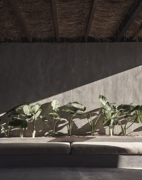 A grey bench with soft textured pillow on, with green plants behind and an overhead shelter made of straw.