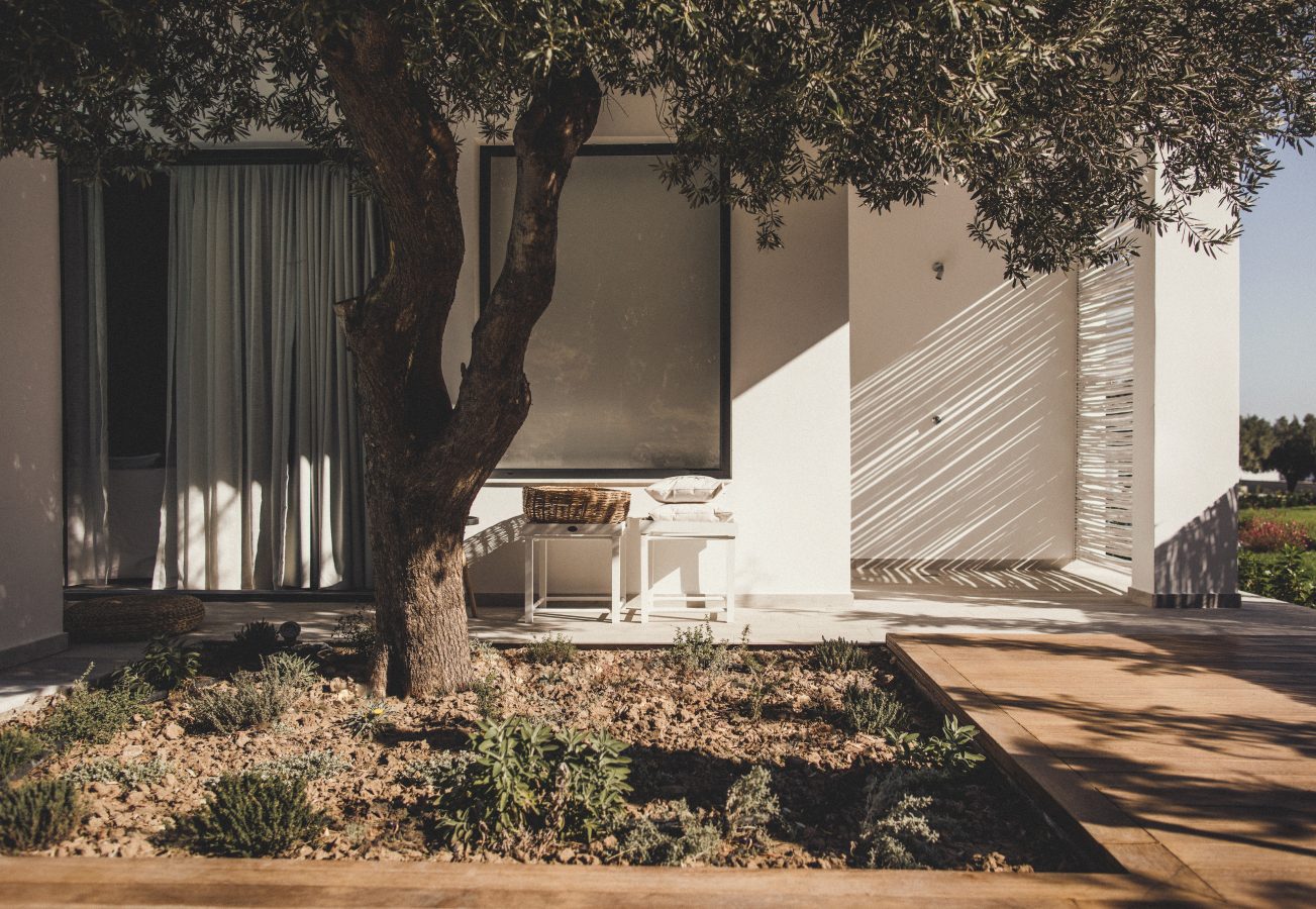 Shaded terrace with natural textures and olive tree in front of a minimalist suite at Casa Cook Rhodes, a boutique adults-only hotel in Kolymbia offering a serene retreat on the island of Rhodes