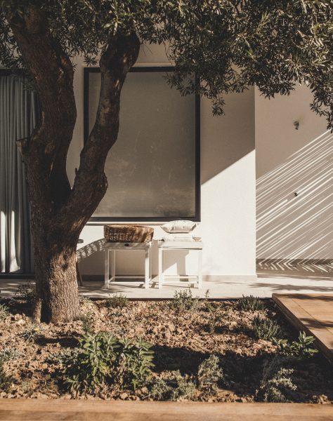 Shaded terrace with natural textures and olive tree in front of a minimalist suite at Casa Cook Rhodes, a boutique adults-only hotel in Kolymbia offering a serene retreat on the island of Rhodes