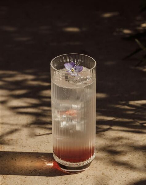 Pretty clear drink with flower garnish